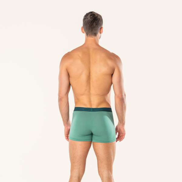 Calzoncillos algodón ecológico Rodger (Pack 2 uds)