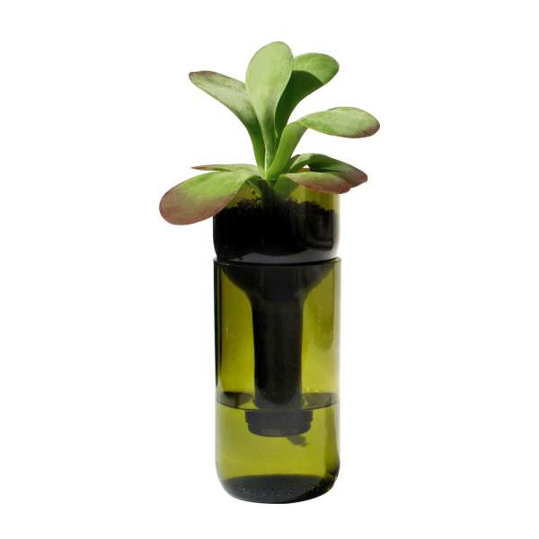 Maceta/tiesto de botella con riego automático Maceta/tiesto de botella con riego automático