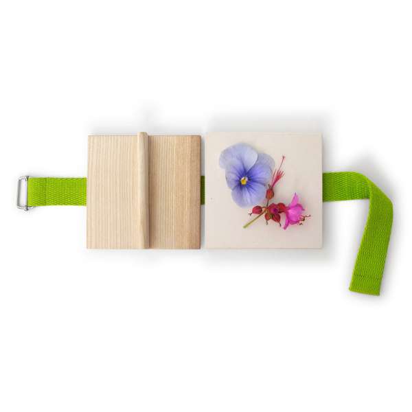 Prensa de madera de fresno para flores y hojas
