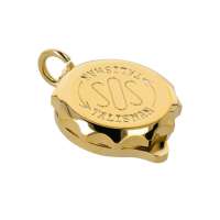 Cápsula de emergencia Talisman oro y de acero inoxidable Cápsula de emergencia Talisman oro y de acero inoxidable