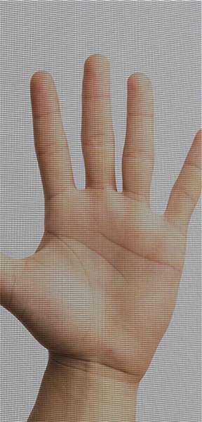 Tela mosquitera y antipolen