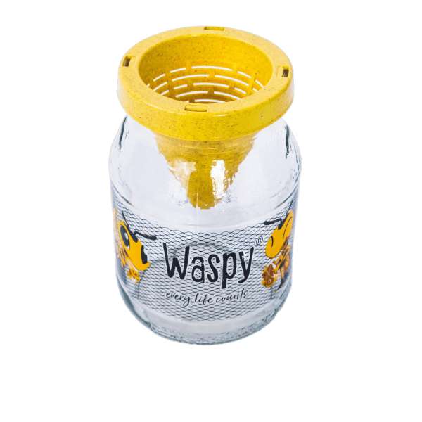 Trampa natural para avispas Frubby (sin matarlas)