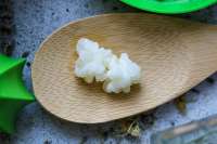 Vista previa: Gránulos ecológicos deshidratados para kéfir de leche Vista previa: Gránulos ecológicos deshidratados para kéfir de leche