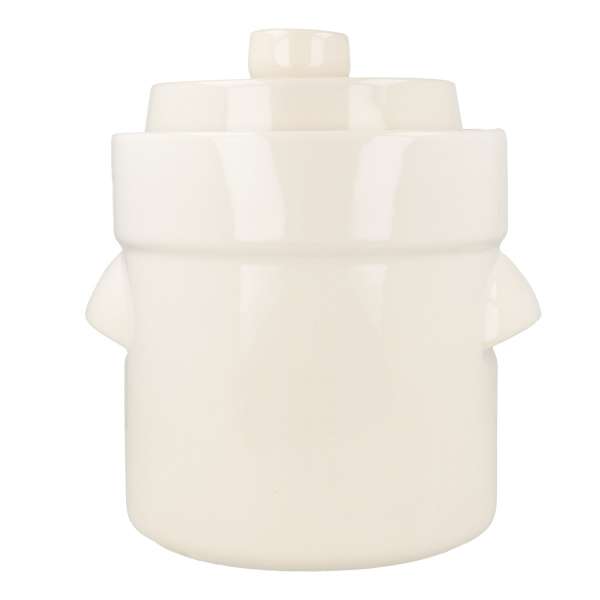 Recipiente para fermentación varias medidas