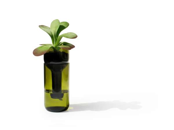 Maceta/tiesto de botella con riego automático