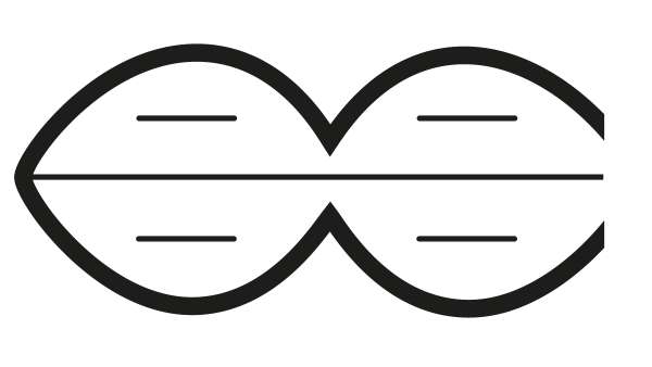 Edredón nórdico de Lycona para invierno