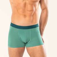 Vista previa: Calzoncillos algodón ecológico Rodger (Pack 2 uds) Vista previa: Calzoncillos algodón ecológico Rodger (Pack 2 uds)