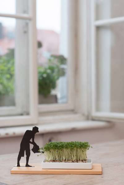 Plantel Smart & Green