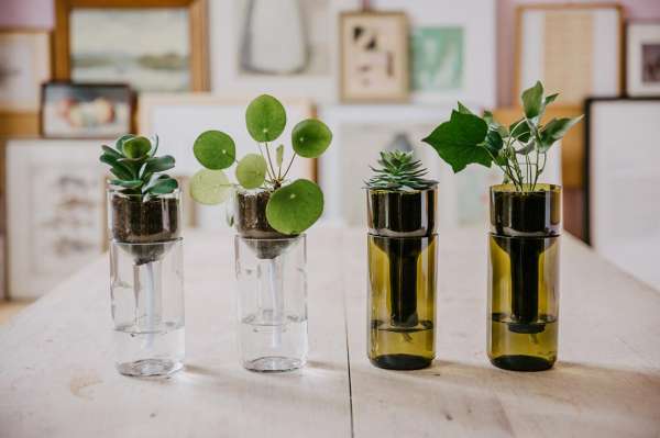 Maceta/tiesto de botella con riego automático