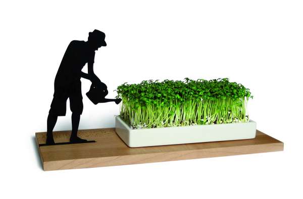 Plantel Smart & Green Plantel Smart & Green