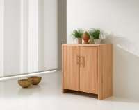 Aparador de madera maciza con dos puertas Aparador de madera maciza con dos puertas