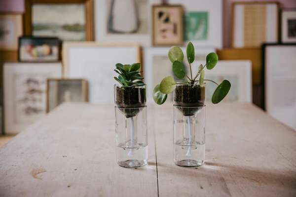 Maceta/tiesto de botella con riego automático