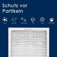 Vista previa: Filtro Blueair Dual Protection para purificadores Blueair Vista previa: Filtro Blueair Dual Protection para purificadores Blueair