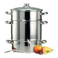 Extractor de jugo de frutas al vapor