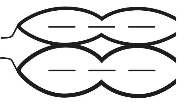 Edredón nórdico doble 4 estaciones de Lycona