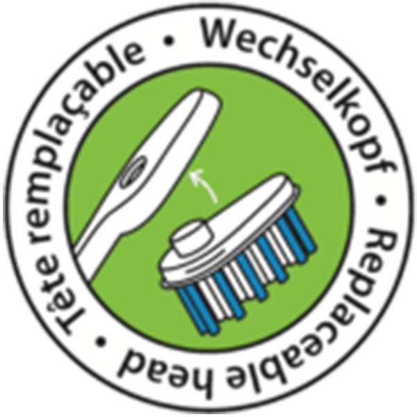 Cepillo dientes con cabezal reemplazable