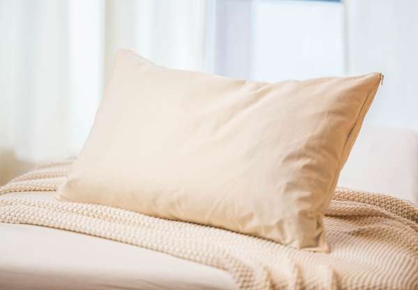 Almohada de mijo ecológico