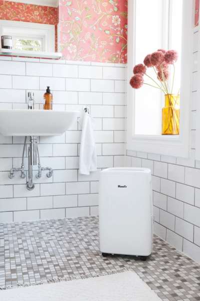 Deshumidificador Wood’s MDX14