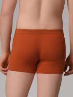 Vista previa: Calzoncillos bóxer ecológicos en colores de Comazo Vista previa: Calzoncillos bóxer ecológicos en colores de Comazo