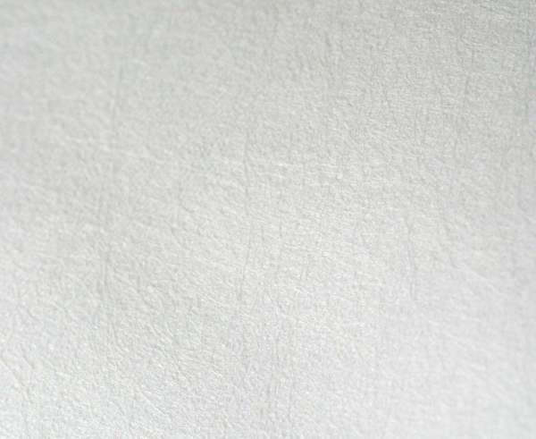 Funda antiácaros Allermed para almohada