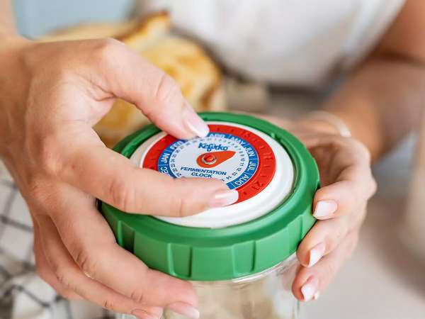 Fermentador de masa madre Kefirco