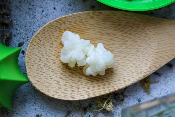 Gránulos ecológicos deshidratados para kéfir de leche