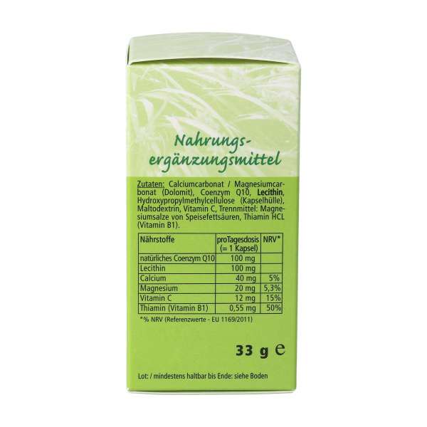 Coenzima Q10 - 100 plus (60 cápsulas)